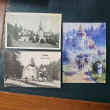 Lot 3 carti postale Sinaia , Castel Peles si Pelisor