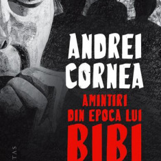 Amintiri din epoca lui Bibi - Paperback brosat - Andrei Cornea - Humanitas