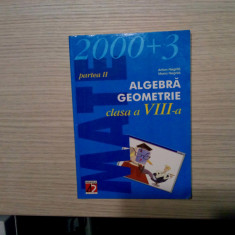 ALGEBRA GEOMETRIE - Cl.VIII - P. a II -a -Anton Negrila, M. Negrila -2003, 170 p
