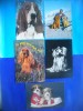 HOPCT LOT NR 1072 CAINI -5 CARTI POSTALE-CIRCULATE, Circulata, Printata