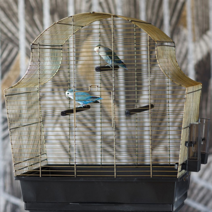 Colivie pentru păsări Margot 3 Antique 60 x 34 x 65 cm