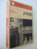 Pribegii (vol. 1) - Tarul si Nikon - Alexei Ceapighin