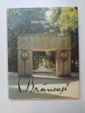 BRANCUSI IN ROMANIA de BARBU BREZIANU , 1998