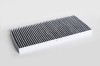 Filtru Habitaclu C.A. 69866 NGH 03.04.144K