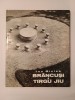 Ion Miclea - Br&acirc;ncuși a Tirgu Jiu (introduction par George Macovescu; 1973)