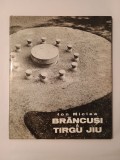 Ion Miclea - Br&acirc;ncuși a Tirgu Jiu (introduction par George Macovescu; 1973)