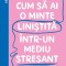 Cum Sa Ai O Minte Linistita Intr-Un Mediu Stresant, Chris Bailey - Editura Curtea Veche