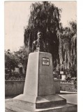 CPIB 16884 CARTE POSTALA - BACAU. VEDERE DIN PARC, STATUIA VASILE ALECSANDRI RPR