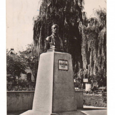 CPIB 16884 CARTE POSTALA - BACAU. VEDERE DIN PARC, STATUIA VASILE ALECSANDRI RPR