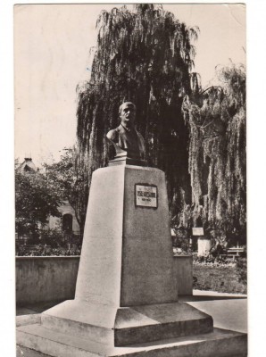 CPIB 16884 CARTE POSTALA - BACAU. VEDERE DIN PARC, STATUIA VASILE ALECSANDRI RPR foto