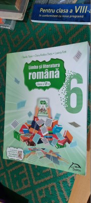 LIMBA SI LITERATURA ROMANA CLASA A 6 A TOPAN CHETA FETTI foto