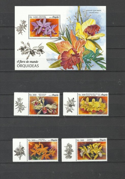 ANGOLA 2018 FLORI ORHIDEE