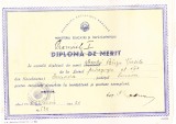 AMS - DIPLOMA DE MERIT LICEUL PEDAGOGIC SUCEAVA 1976