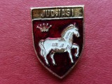 Insigna judetul Iasi