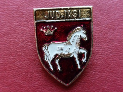 Insigna judetul Iasi foto