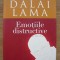 DANIEL GOLEMAN INTR-UN DIALOG STIINTIFIC CU DALAI LAMA - EMOTIILE DISTRUCTIVE ( CUM LE PUTEM DEPASI? ) - 2013