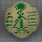 AX 1006 INSIGNA -,,SAHF&quot; FEDERATIA DE HANDBAL A ARABIEI SAUDITE-PT COLECTIONARI