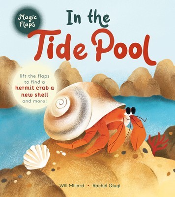 In the Tide Pool: A Magic Flaps Book foto