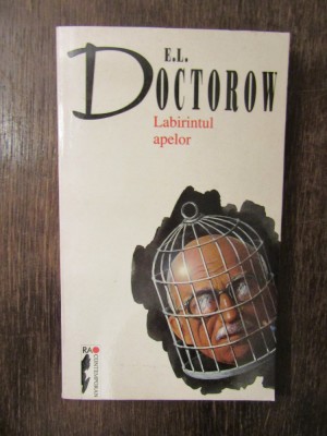 E.L. Doctorow - Labirintul apelor foto