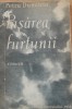 PASAREA FURTUNII - PETRU DUMITRIU