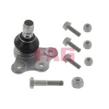 FAG Articulatie sarcina/ghidare