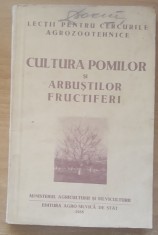 Cultura Pomilor Si Arbustilor Fructiferi - Dogoreanu/ Dodu (1955)