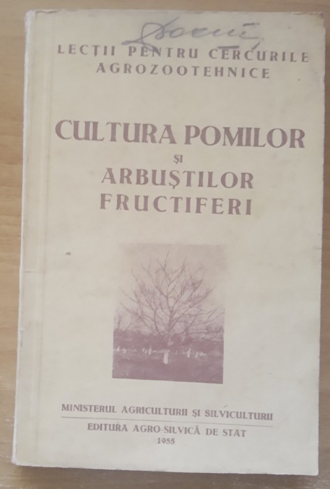 Cultura Pomilor Si Arbustilor Fructiferi - Dogoreanu/ Dodu (1955)