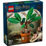 LEGO&reg; Harry Potter - Matraguna (76433)