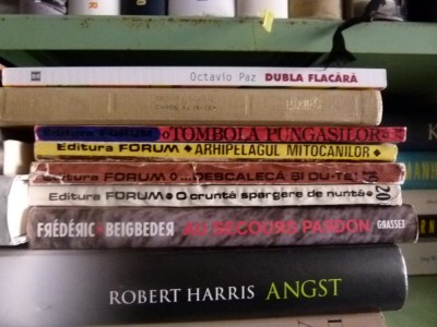 Cronica lui Carolal xi lea - Merimee foto