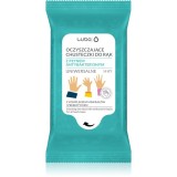 Luba Antibacterial Wet Wipes Servetele umede de maini 15 buc