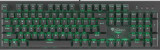 Tastatura Gaming Mecanica Genesis Thor 300, Switchuri Outemu Blue, RGB LED, USB, Layout US (Negru)