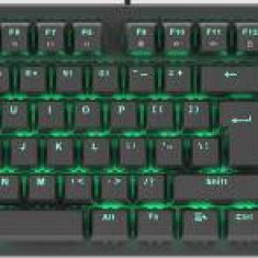 Tastatura Gaming Mecanica Genesis Thor 300, Switchuri Outemu Blue, RGB LED, USB, Layout US (Negru)