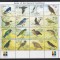 St. Kitts 1999 - Expoziția Internațională de Timbre &bdquo;IBRA &#039;99&rdquo; - N&uuml;rnberg - Păsările din Caraibele de Est, Bloc, MNH