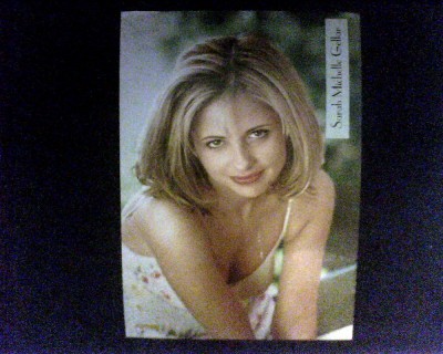 Sarah Michelle Gellar - Poster [A3] foto