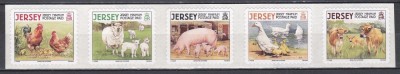 Jersey 2008 - Animale domestice - Autoadezive, MNH foto