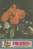 Revista Flacara Rebus nr. 12 / 15 iunie 1988