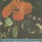 Revista Flacara Rebus nr. 12 / 15 iunie 1988