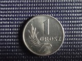 1 grosz 1949 Polonia. Necirculat