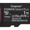 MICROSDXC 1TB CANVAS GO PLUS SDCS3/1TBSP