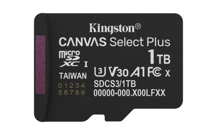 MICROSDXC 1TB CANVAS GO PLUS SDCS3/1TBSP