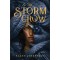 The Storm Crow