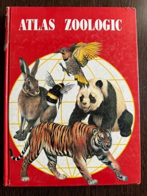 Atlas Zoologic - Anuta Ionescu-Andrei foto