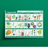 Legumele - plansa didactica A3