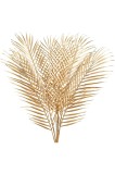 6 bucăți frunze de palmier aurii artificiale - tulpini de frunze de palmier false de 29" plante decorative artificiale