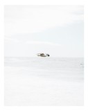 Tablou Canvas, "Pescăruș solitar deasupra mării calme", Pescăruș, Cer, Mare, Liniște, Libertate, Alb, Simplitate, Zbor, V&acirc;nt, Natură, 26 x 39 cm, CMCL