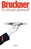 Ce doreste domnul?/Pascal Bruckner