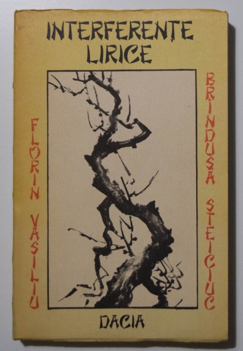 Florin Vasiliu; Br&icirc;ndușa Steiciuc - Interferențe lirice. Constelația haiku