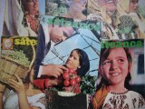 Revista Sateanca nr.2-1972