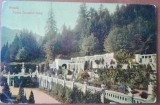 Carte postala, Sinaia, Terasa Castelul Peles, 1913