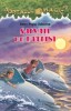 SALVATI DE DELFINI. PORTALUL MAGIC NR. 9